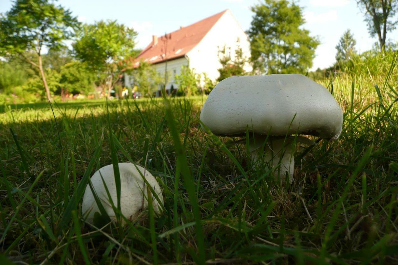 Miodowy Dwor Villa Rusinowo  ภายนอก รูปภาพ